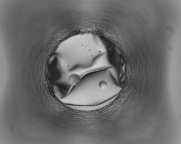 X0000112361153200909031904