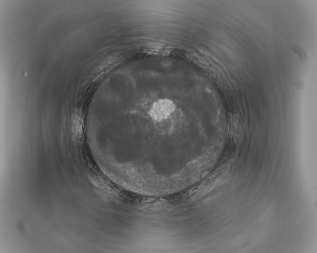 X0000112361154200909031904