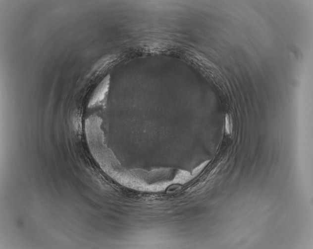 X0000112361155200909031904