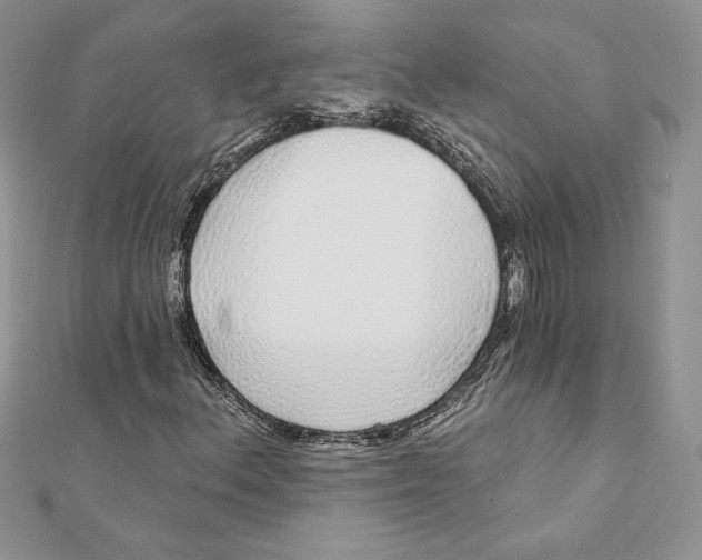 X0000112361156200909031904