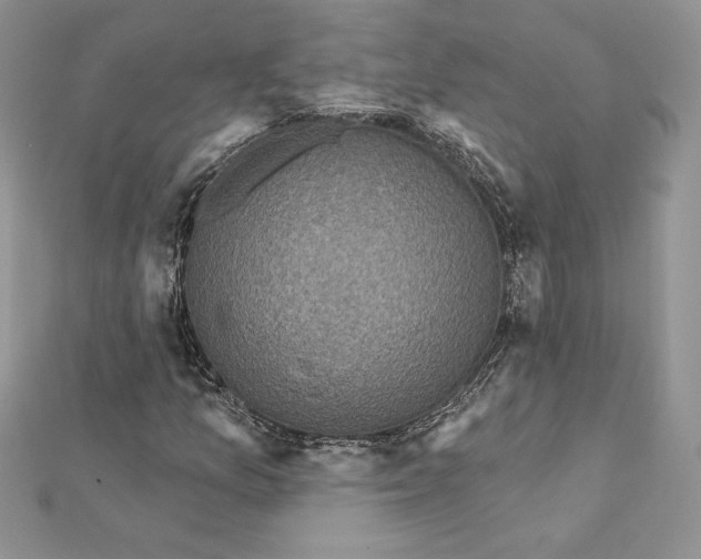 X0000112361157200909031904