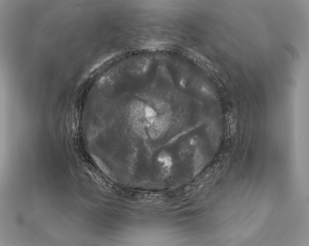 X0000112361158200909031904