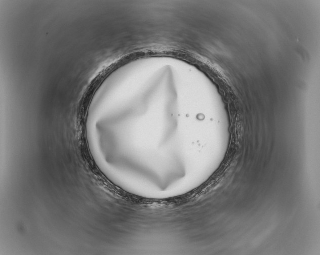 X0000112361160200909031904