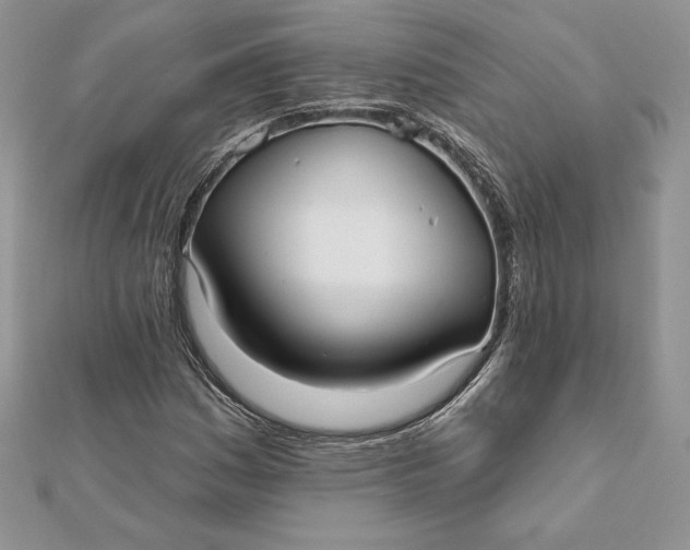 X0000112361161200909031904