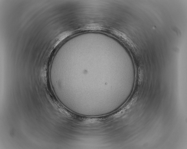 X0000112361162200909031904