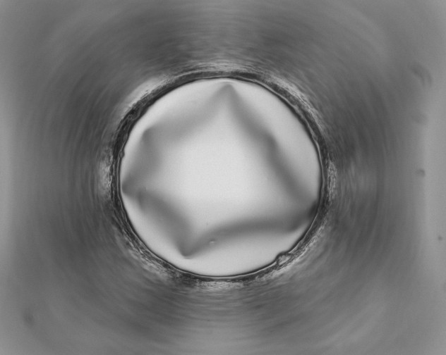 X0000112361163200909031904