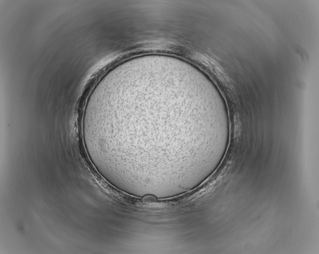 X0000112361164200909031904