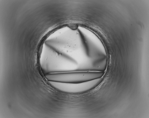 X0000112361165200909031904