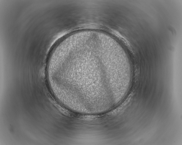 X0000112361166200909031904