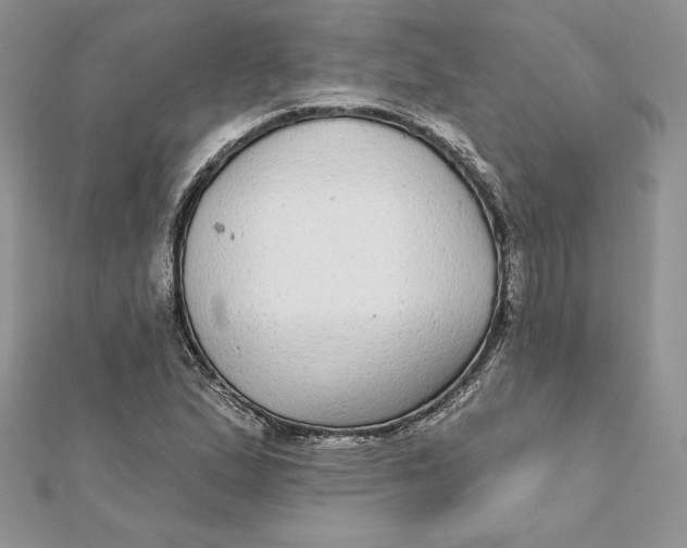 X0000112361167200909031904