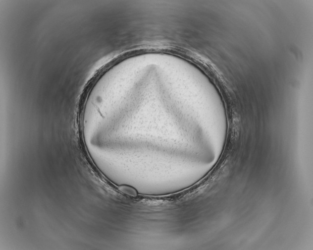 X0000112361168200909031904