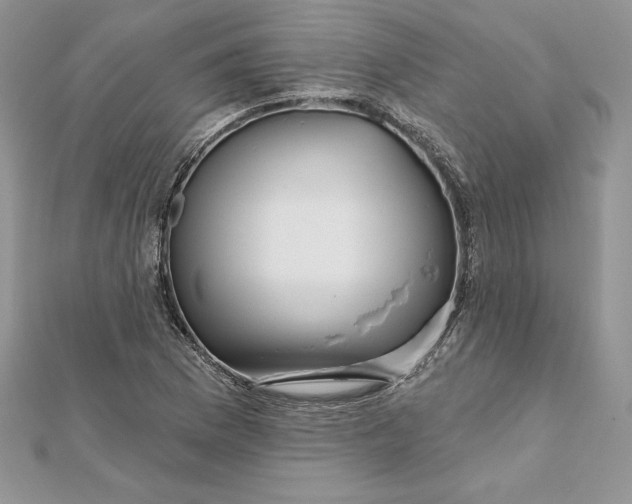 X0000112361169200909031904