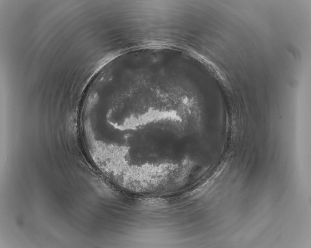 X0000112361170200909031904