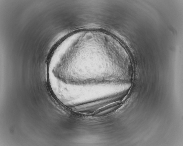 X0000112361171200909031904