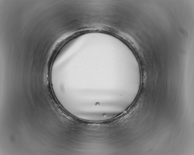 X0000112361172200909031904