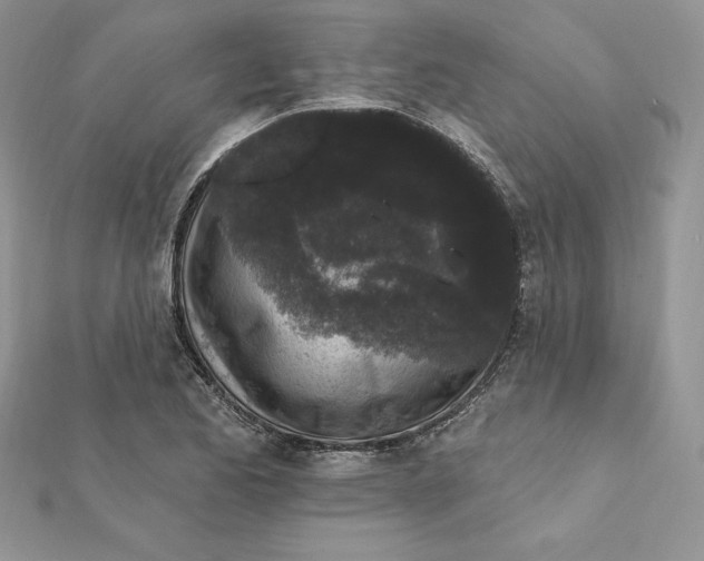 X0000112361173200909031904