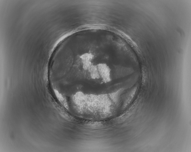 X0000112361174200909031904