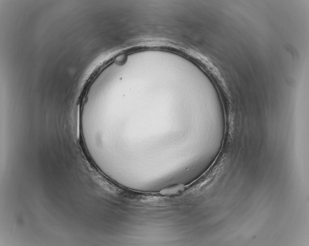 X0000112361175200909031904