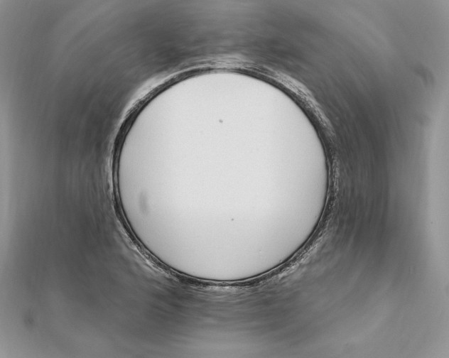 X0000112361176200909031904