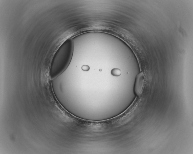 X0000112361177200909031904