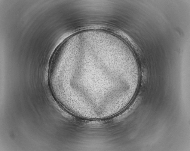 X0000112361178200909031904