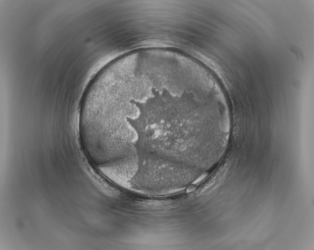 X0000112361179200909031904