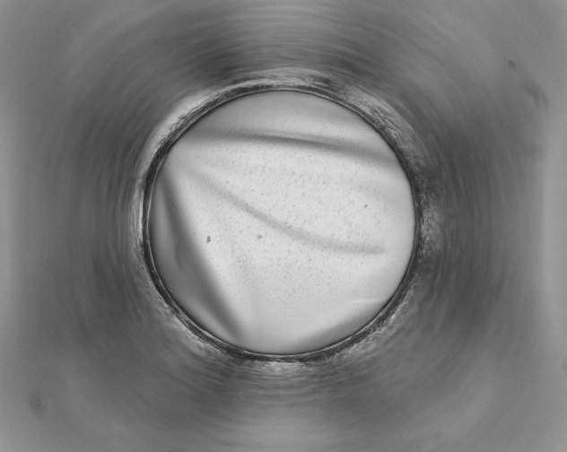 X0000112361180200909031904