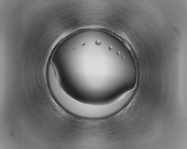 X0000112361181200909031904