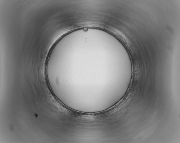 X0000112361182200909031904