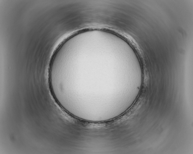 X0000112361183200909031904