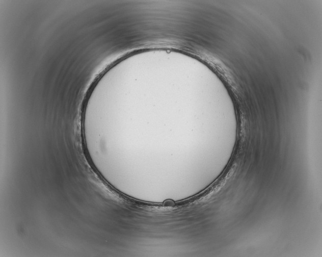 X0000112361184200909031903