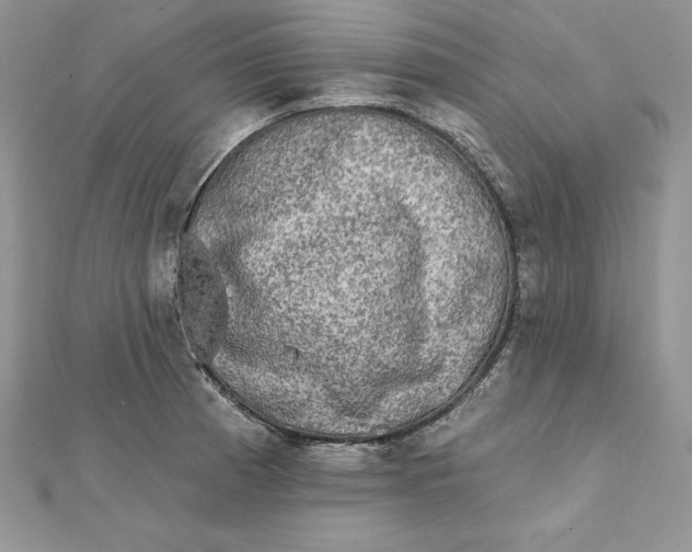 X0000112361185200909031903