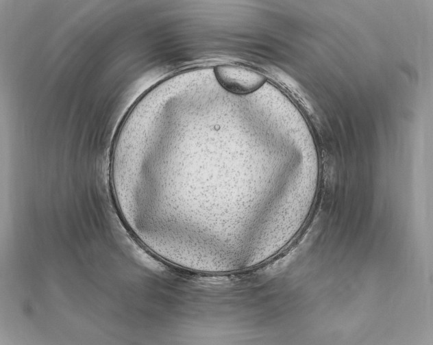 X0000112361186200909031903