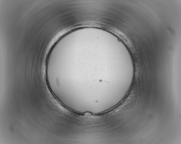 X0000112361188200909031903