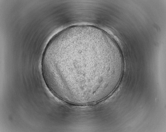 X0000112361189200909031903