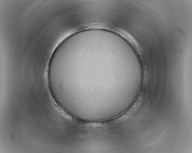 X0000112361190200909031903