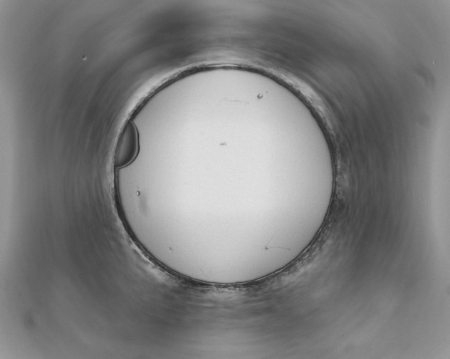 X0000112361191200909031903