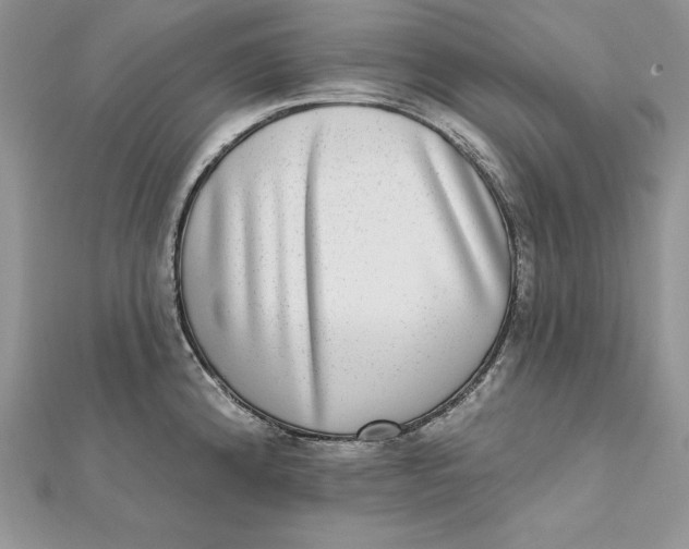 X0000112361192200909031903