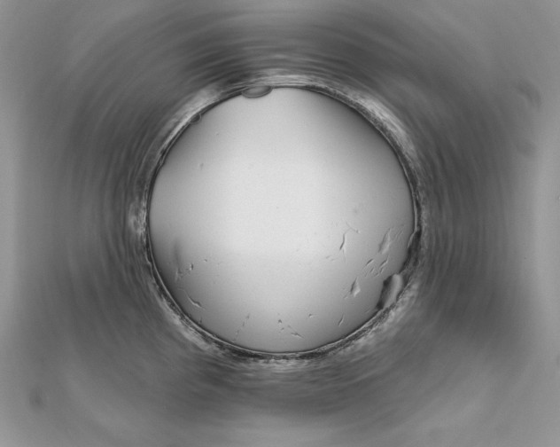 X0000112361193200909031903