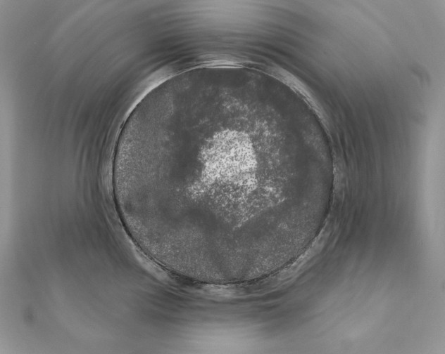 X0000112361194200909031903