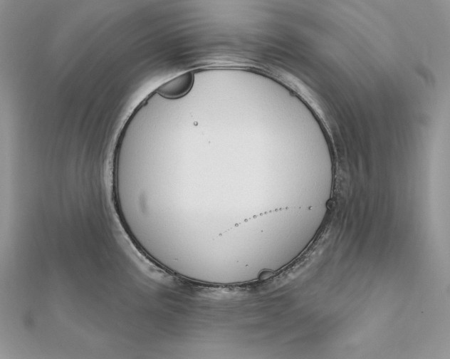 X0000112361195200909031903