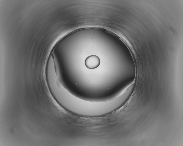 X0000112361197200909031903