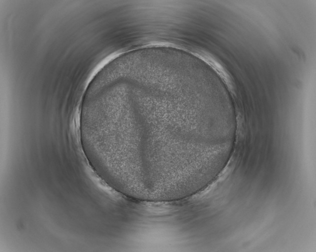 X0000112361198200909031903