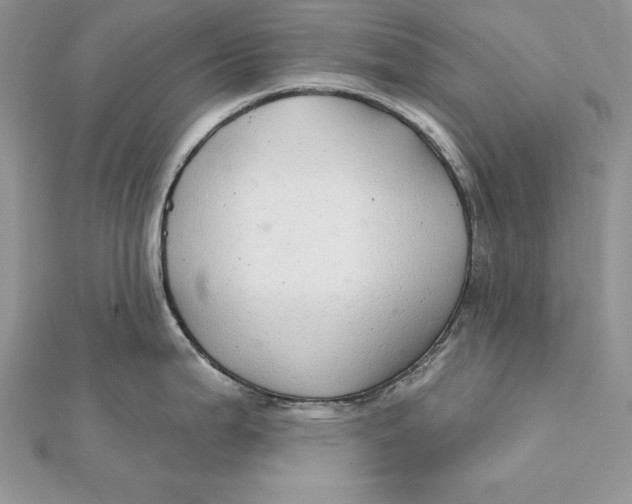 X0000112361199200909031903