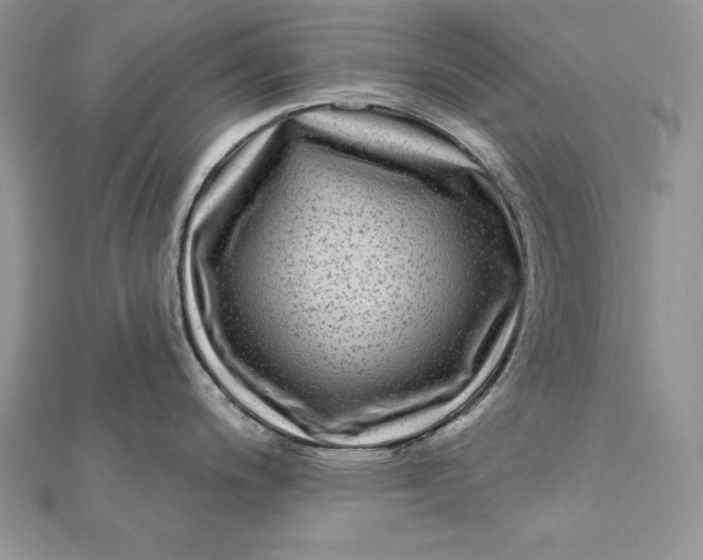 X0000112361200200909031903