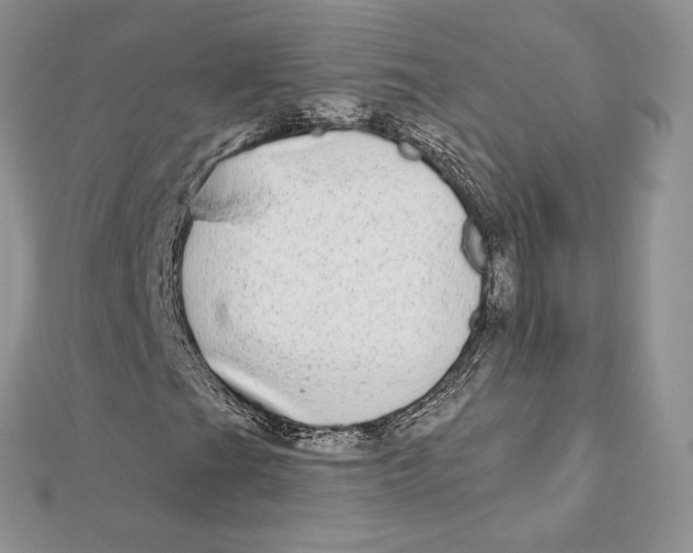 X0000112361201200909031903