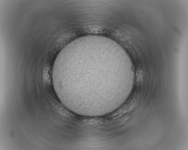 X0000112361202200909031903