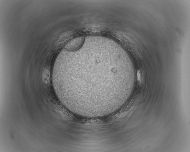 X0000112361203200909031903