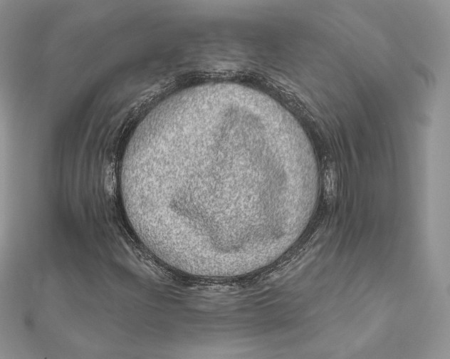 X0000112361204200909031903