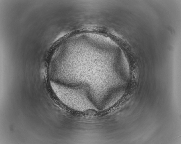 X0000112361206200909031903